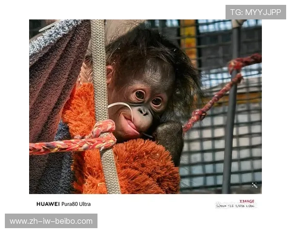 德尚博连胜排名攀升至第24位甘伯格实现200位跨越式进步 德尚博连胜排名攀升至第24位甘伯格实现200位跨越式进步